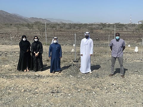 Key officials at the Al Hafiya Reserve in Kalba.