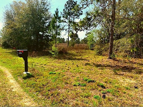 Available for purchase to all nationalities, and with no set eligibility criteria, anyone can buy these plots for a minimum investment of $25,000. 