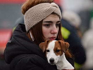 Dogs of war: Ukrainians flee with their furry companions