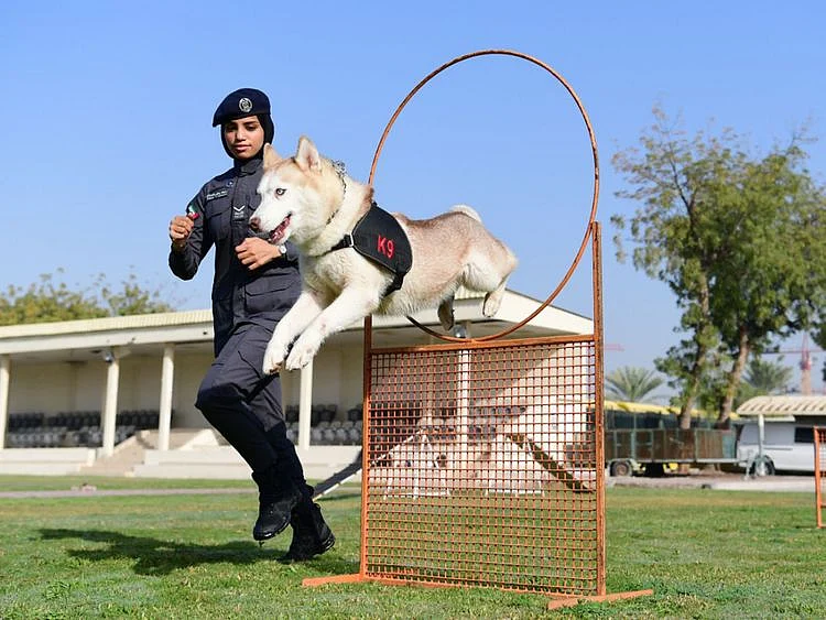 K9