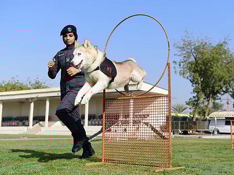 The initiative to include female officers in the K9 unit has opened up more career options for them.