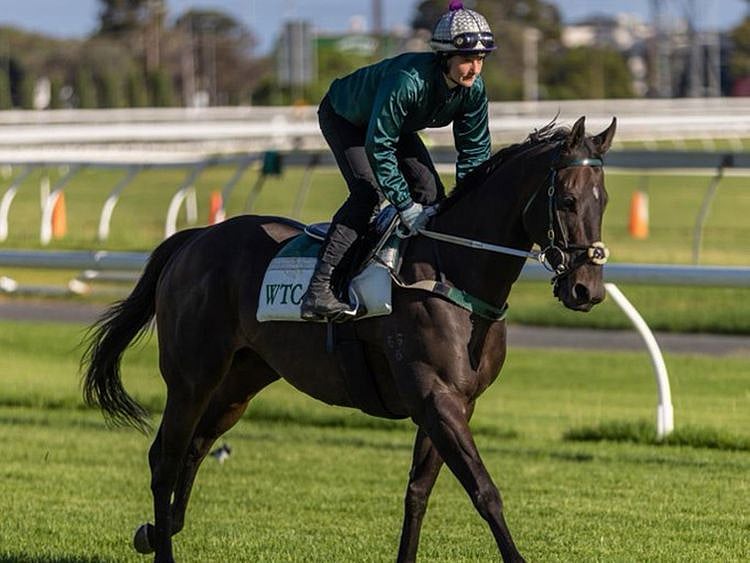 Caitlin Jones and He's A Balter