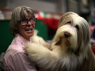 In Pictures: Crufts 2022, world's greatest dog show