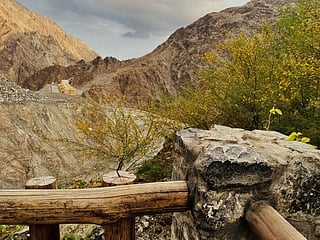 Reader's photo essay: Want to unwind and get close to nature this weekend? Visit Shees Park in Sharjah