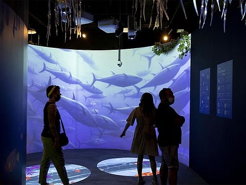  Expo 2020 Dubai to explore water conservation in final week