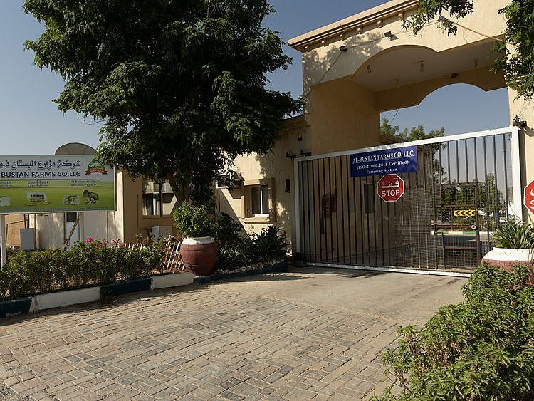 Al Bustan Farms