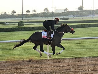 Watch: Dubai World Cup looks a breeze for Hot Rod Charlie at Meydan