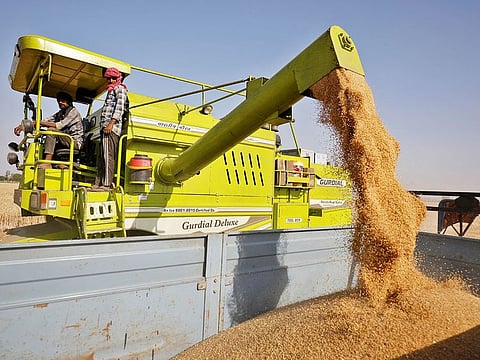 Agthia will work with UAE government officials to find a way out of India's wheat ban impasse. 