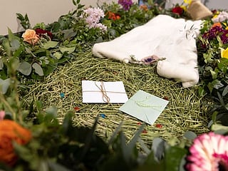 Body composting takes root in US 'green' burial trend