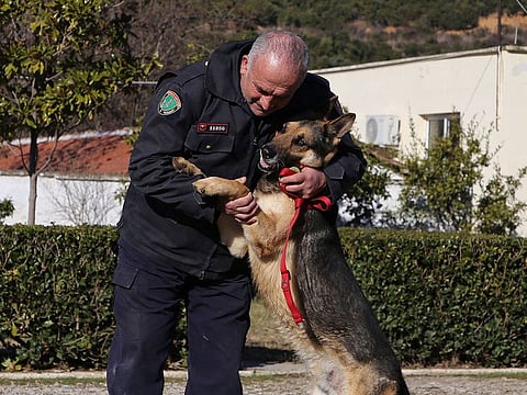 Dog trainer Enver Hoxha strokes Brandi, a police dog serving for finding lost people in disasters at the Institute of Police Dogs Training in Tirana.