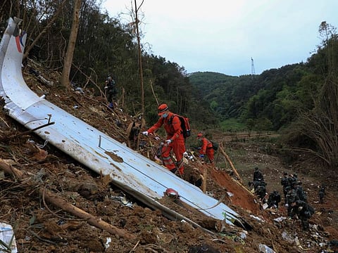 Emergency workers using sniff dogs to conduct search for the black box near the debris at the China Eastern flight crash site in Tengxian County in southern China's Guangxi Zhuang Autonomous Region.  