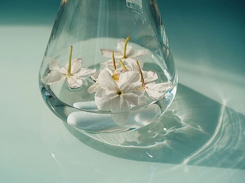 Firmenich sure is getting a lot of the fragrances and tastes right.