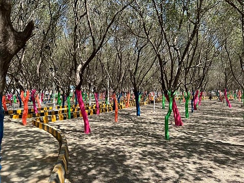 Karachi's Administrator, Barrister Murtaza Wahab, at the revived urban forest.