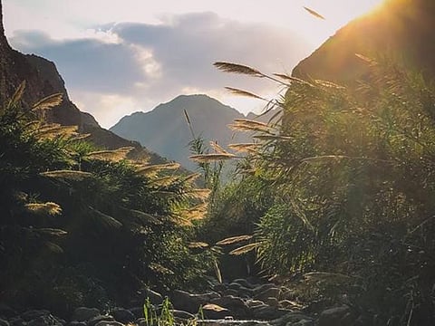 Wadi Wurayah.