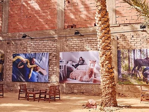 The festival celebrated the rich culture and heritage of AlUla in Saudi Arabia. 