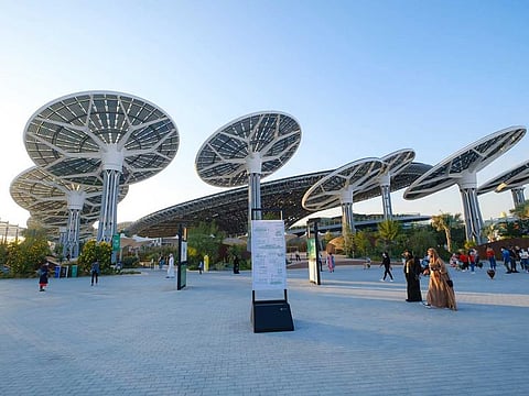 Energy trees at Expo 2020 Dubai captured energy from the sun like sunflowers throughout the day.