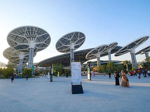 Energy trees at Expo 2020 Dubai captured energy from the sun like sunflowers throughout the day.