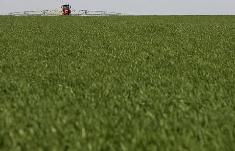 A tractor sows sunflower seeds and fertilizes the soil with chemicals at "Leninskoye znamya" (Lenin banner) collective farm, about 40 km (25 miles) southwest of Rostov-on-Don, April 25, 2011.