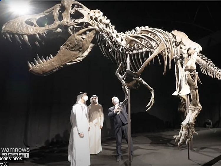 abu-dhabi-natural-history-museum-1648886686760