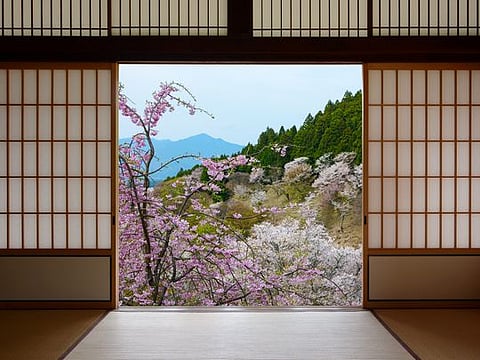 The Japanese Zen interior design style means a peaceful, clutter-free space channeling Nature
