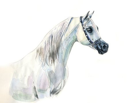 If we know ourselves, we know our Arabian horse