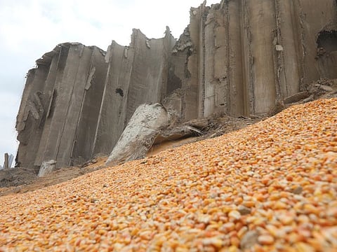 The damaged grain silo is seen at the site of blast, at Beirut's port area in this August 7, 2020 photo. 