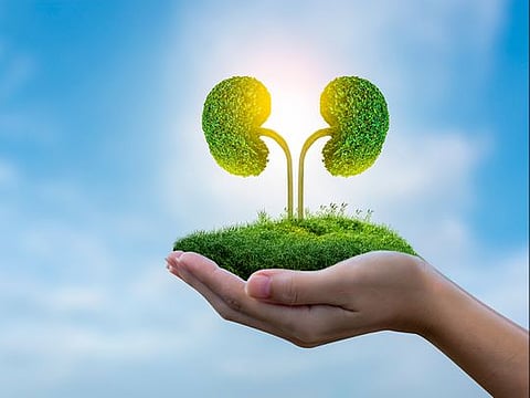 Have chronic kidney disease? Live a fulfilling life with Al Zahra Hospital Dubai