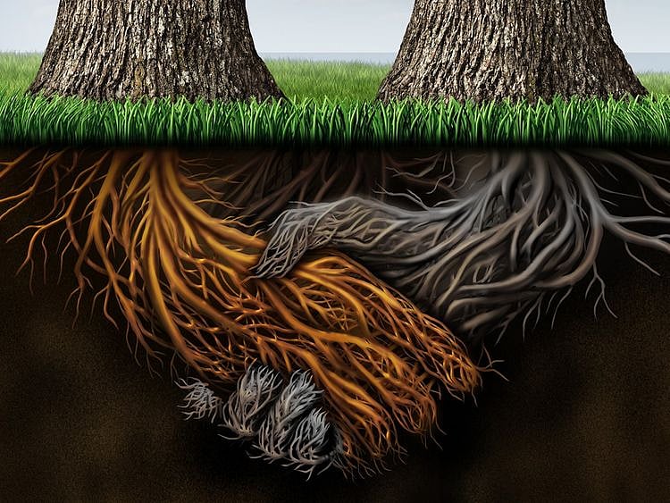 We now know that do “talk” to each other;