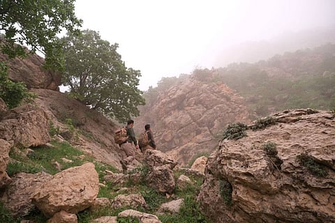 Two environmentalists brothers climb the Bamo mountain to find a spot for their camera traps, in the mission to protect the leopards, near Darbandikhan, Iraq, April 9, 2022.  