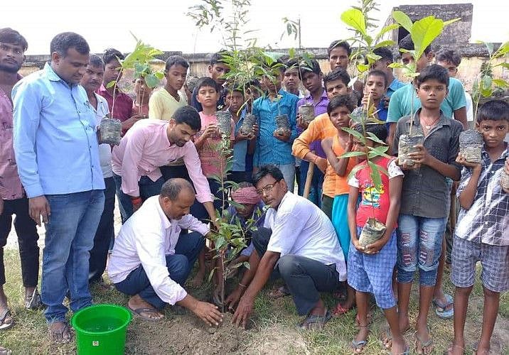tree plants-1650637367935
