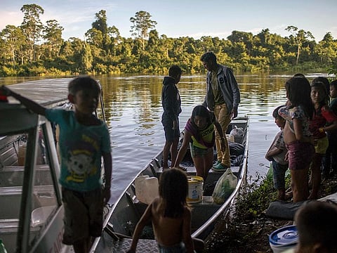 Over 40 per cent of the total tropical primary forest lost in 2021 was in Brazil, where some 1.5 million hectares was cut down or went up in smoke.