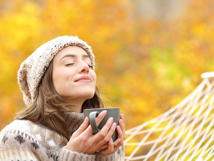 shutterstock_1845312265-1651238155553