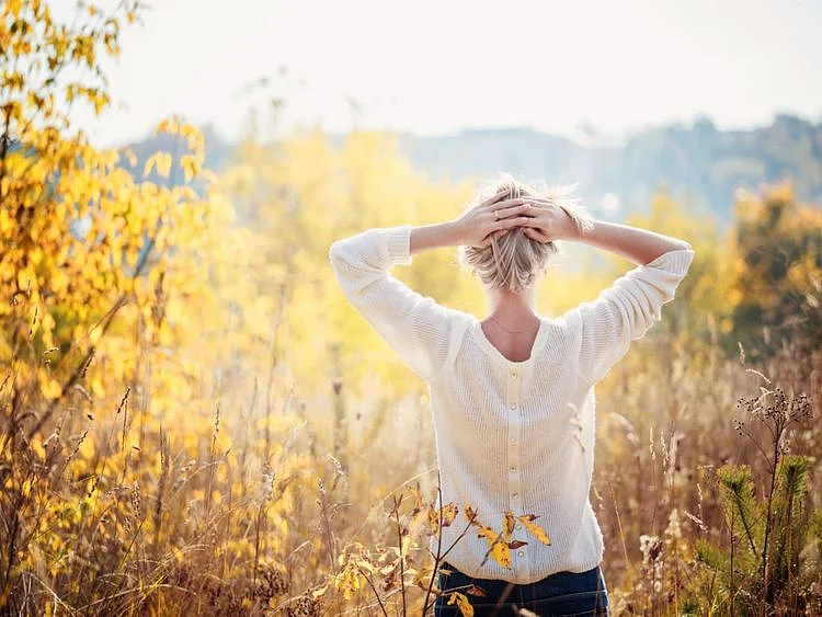shutterstock_324721511-1651910461197