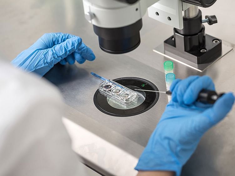 Lab work