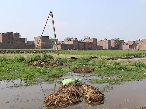 Cholera is one of the common diseases in developing countries that is spread through contaminated food or water. Cholera transmission increases when people lack safe water sources for drinking and hygiene.