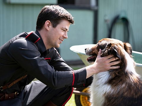 A still from 'Rescued by Ruby'