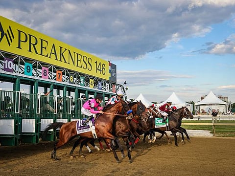 Preakness Stakes, the second of the US Triple Crown, will be held this Saturday.