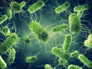 AI breakthrough creates new antibiotics for drug-resistant superbugs