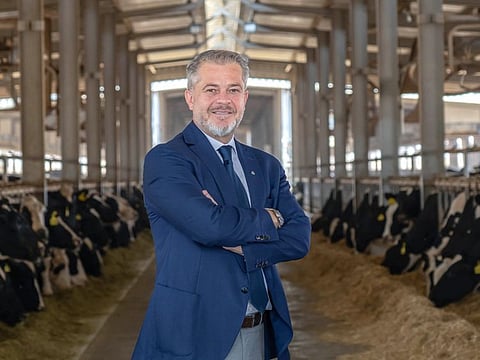 Emirates Food Industries' CEO Wasfi Kaso can call in all production needs from two dairy farms and a factory in Al Ain. His plan is to have the new brand across UAE retail stores in one go. 