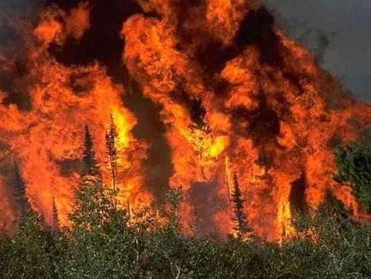 The fire has been raging for over a week in the 26,000 hectares of forest in the Sulaiman mountain range, home to the world’s largest pine nut forest.