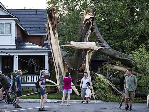 Residents and community members gather to look at a tree that was destroyed during a major storm in Ottawa, Canada, on Saturday, May 21, 2022.