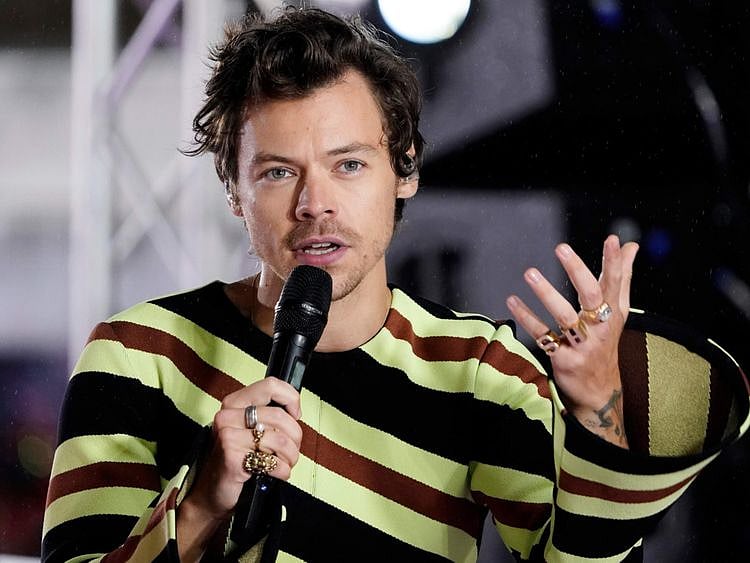 Harry Styles 12-1653740874257