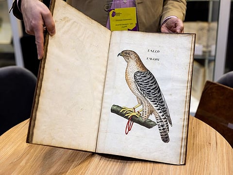 Written in 1550, the Dh11 million book contains images of rare birds