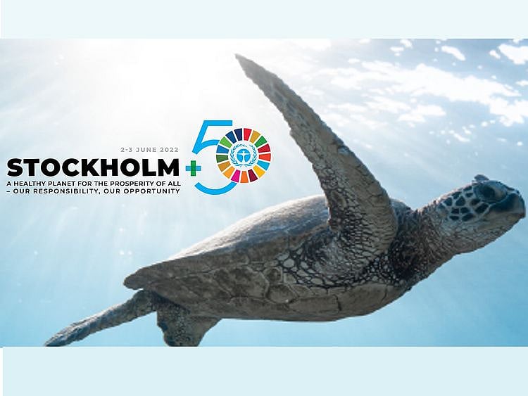 OPN Stockholm 50