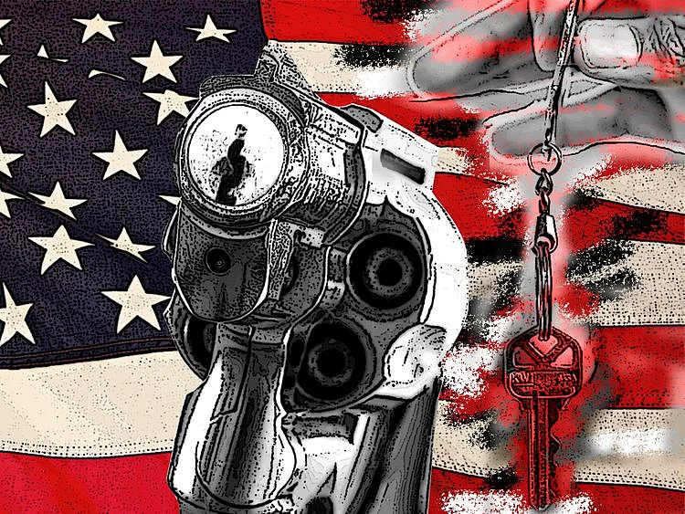 OPN US gun control 