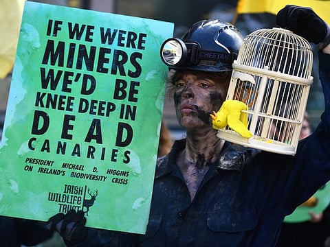 An activist dressed as a coal miner from the Extinction Rebellion holds a paper mache of a dead canary in a cage as they protest during a biodiversity conference being held at the Dublin Castle calling for legal protection for Ireland's wildlife and biodiversity, in Dublin, Ireland, June 8, 2022. 