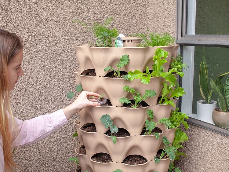 Vertical garden balcony 