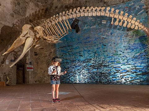 The skeleton of Siso takes centre stage at the museum.