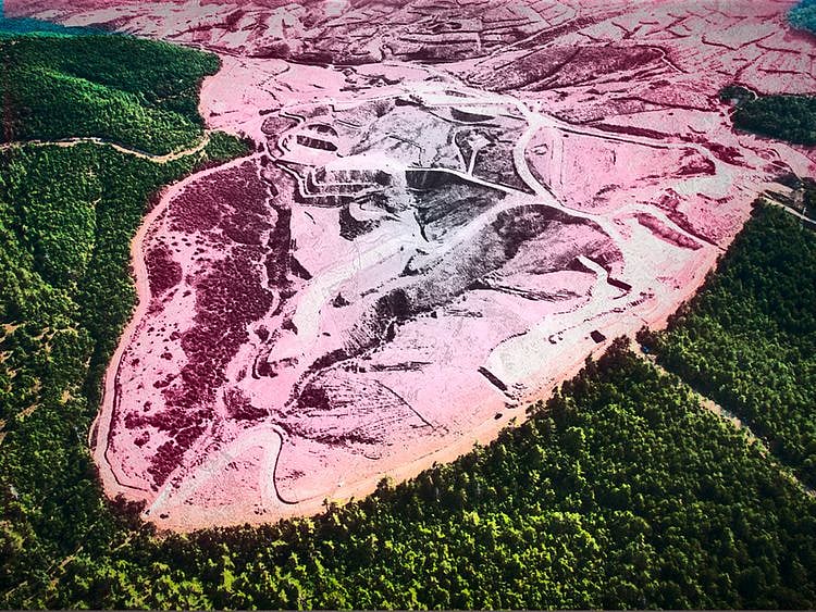 OPN Deforestation 