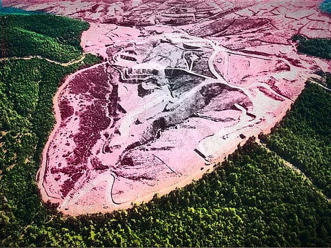 The purposeful clearing of forested land has razed millions of trees to make space for agriculture